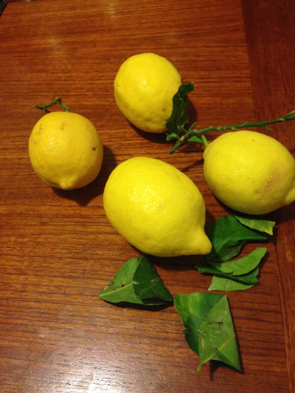When Life Gives You Lemons…. Make&nbsp;Limoncello!