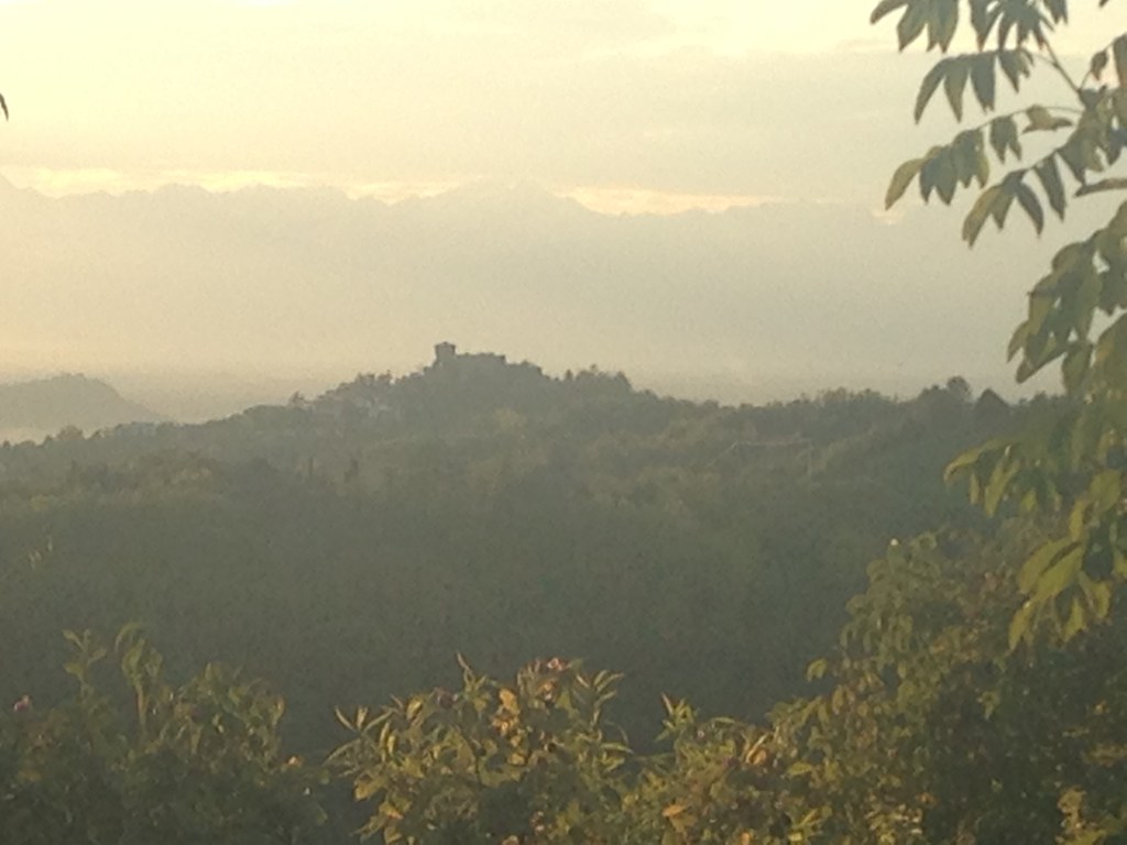 The Must is a&nbsp;Must!