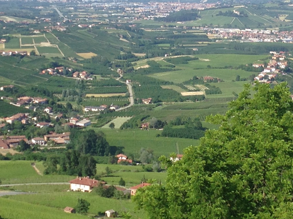 A Midsummer Night’s Wild&nbsp;Dream