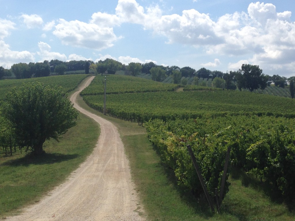 The Culture of Wine Part III: Montefalco and&nbsp;Benozzo