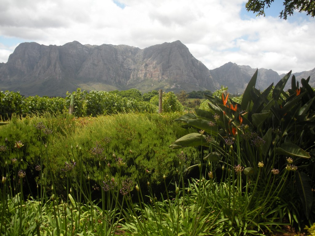 Southern Hospitality: Women Winemakers in South&nbsp;Africa