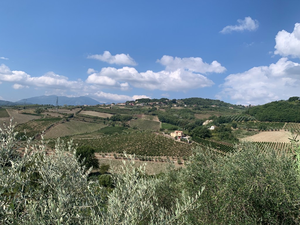 My Summer of Discovery, Part II:&nbsp;Irpinia